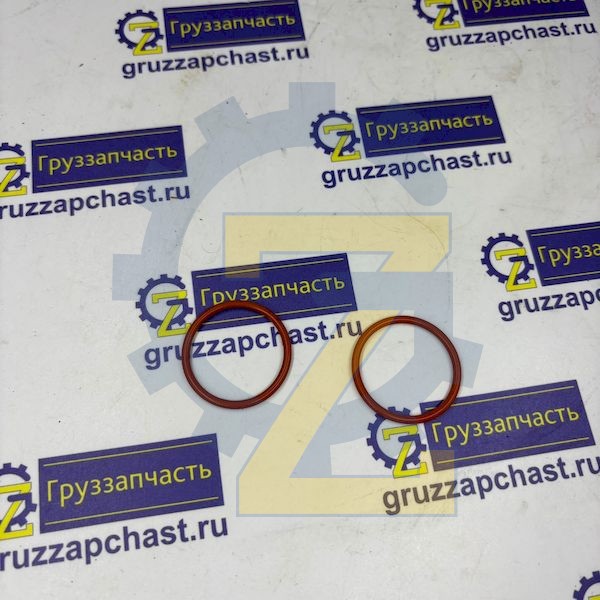 Кольцо уплотнительное теплообменника WP12 E5 (Оригинал WEICHAI POWER)